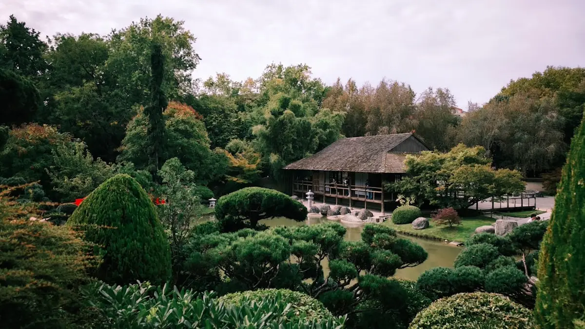 Jardin japonais sans entretien : les bons choix dès le départ