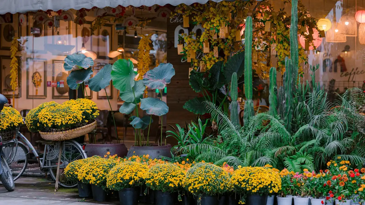 Quelle plante aime le marc de café, et lesquelles le détestent